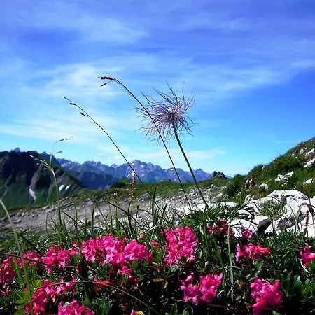 Appartement Alpenflair Whg 201 