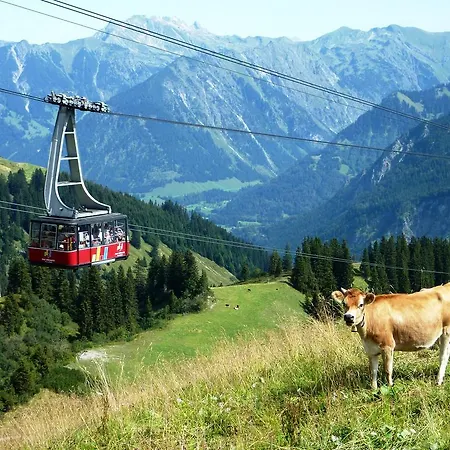 Appartement Alpenflair Whg 201 