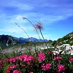 Апартаменты Alpenflair Whg 201 