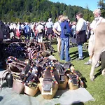 Апартаменты Alpenflair Whg 201 