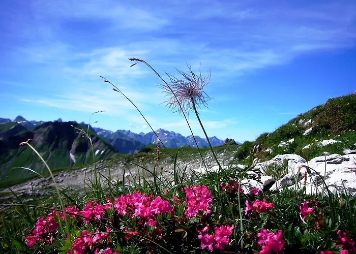 Apartament Alpenflair Whg 201 